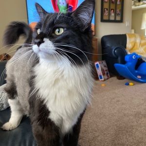 Meet your Posher, Jocelyn